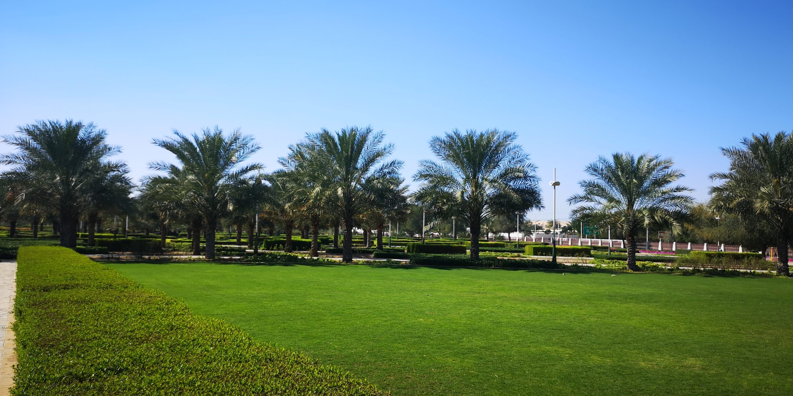 Photo from Dubai Palm Park in Al Awir, Dubai, UAE