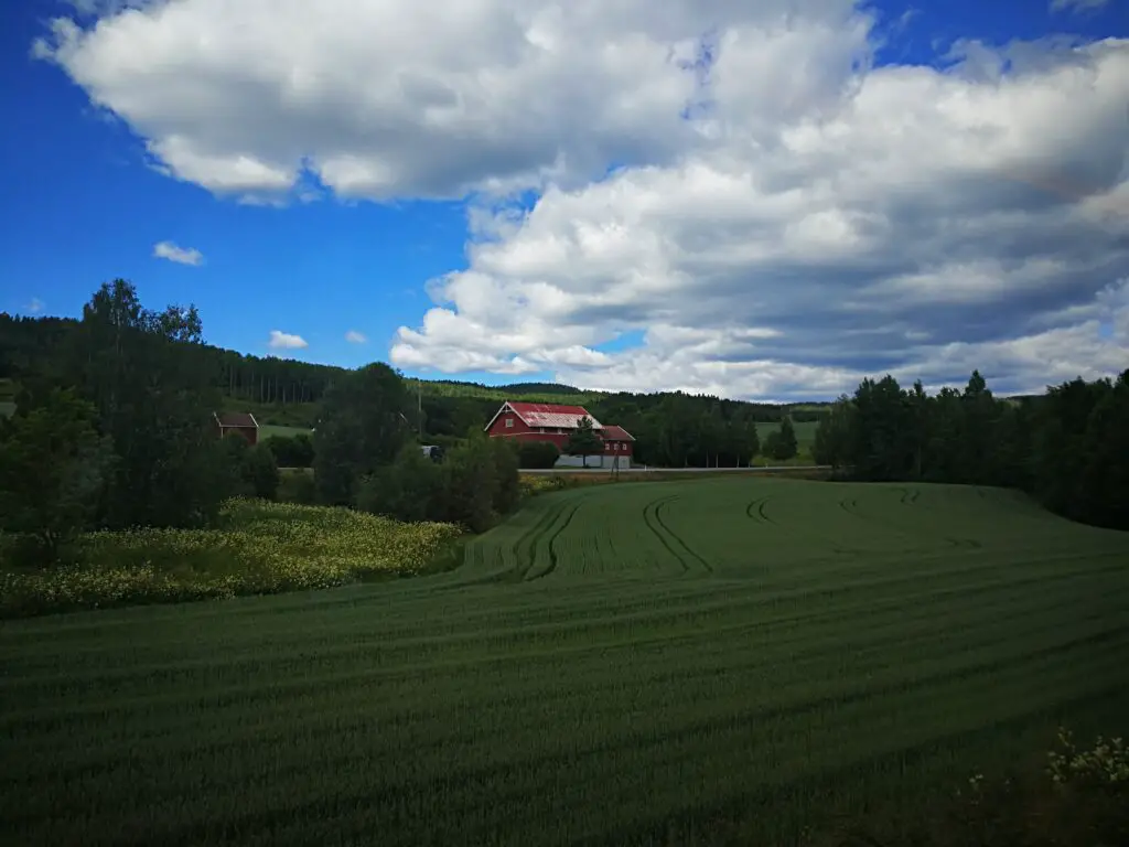  Train Trip from Oslo to Bergen, Norway