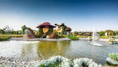 Dubai Miracle Garden Tourist Guide and Information