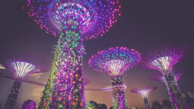Best tourist attractions of Singapore