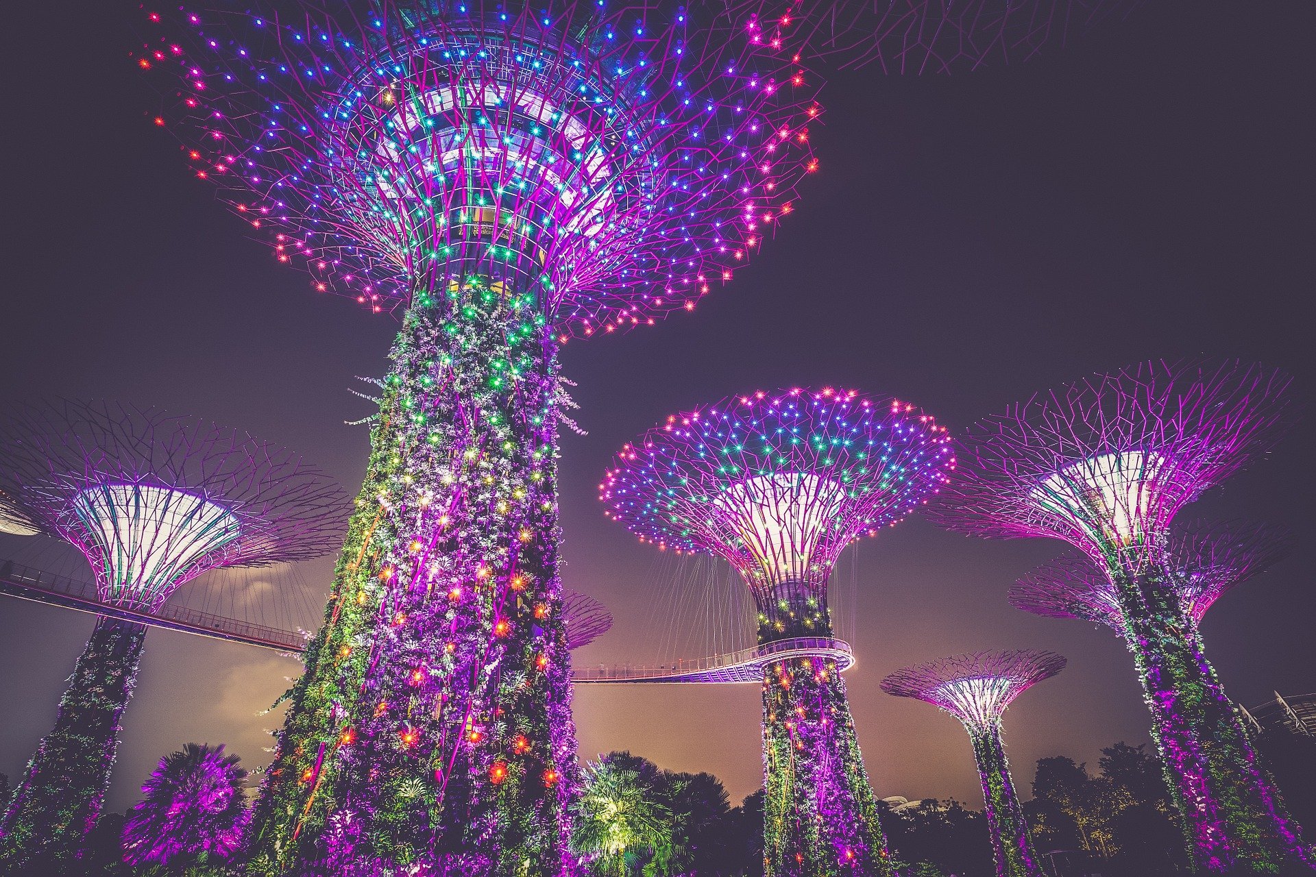 Best tourist attractions of Singapore