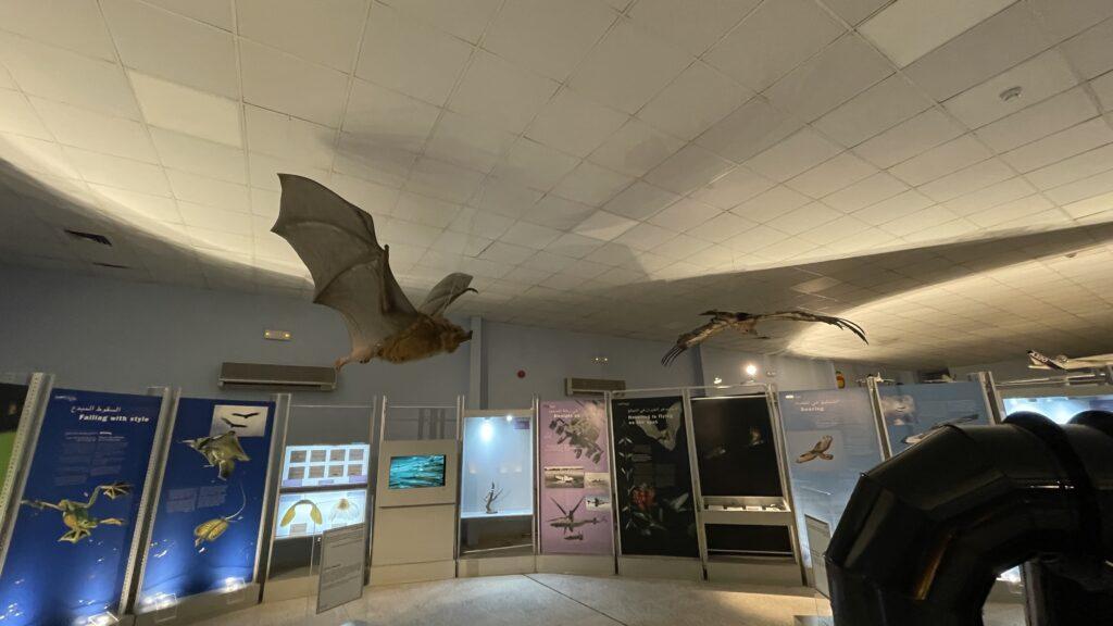 Al Mahatta Aviation Museum in Sharjah