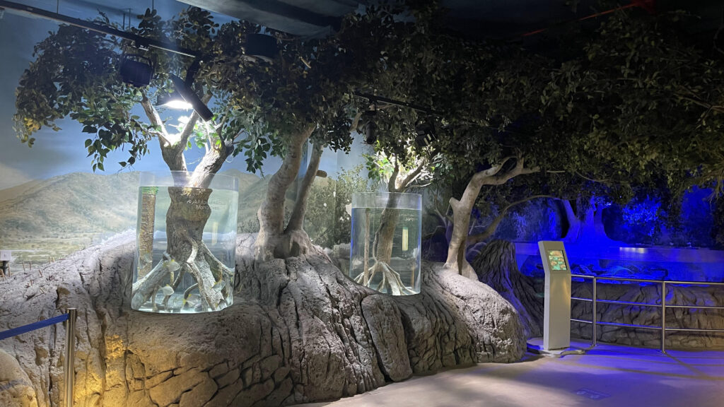 Sharjah Aquarium, UAE