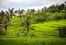 Bali Travel Guide- Tips on Best Places and Activities