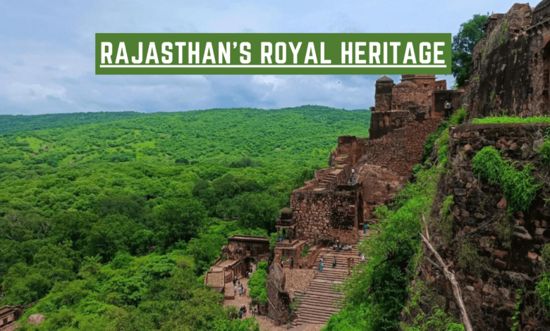 🏰 Rajasthan's Royal Heritage: Palaces and Forts of India's Desert State 🌵