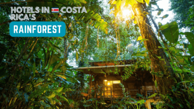 🌿 Eco-Friendly Escapes: Sustainable Hotels in 🇨🇷 Costa Rica's 🌧️ Rainforests 🌴