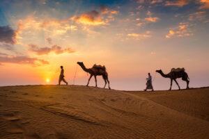 Rajasthan, India's Desert State 🌵