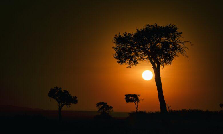 🌍 An African Adventure: Safari in Serengeti National Park 🦓🦒