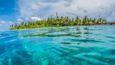 🌴 A Tropical Paradise: Fiji's Coral Coast 🌺