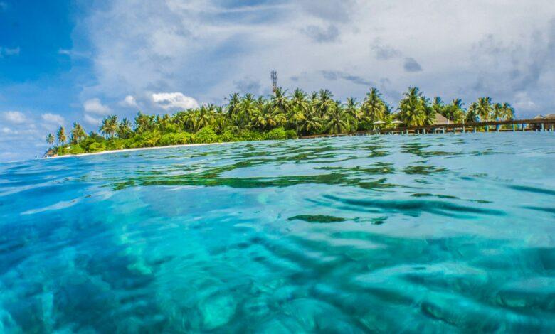 🌴 A Tropical Paradise: Fiji's Coral Coast 🌺