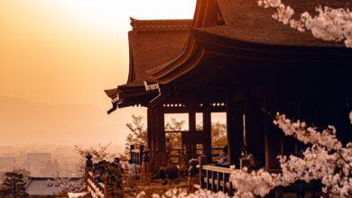 🏯 Sacred Sites of Kyoto: Shrines and Gardens 🌸