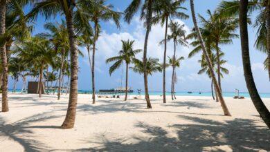 A Tropical Paradise: Seychelles' Praslin and La Digue 🏝️🌺