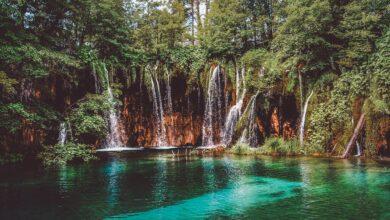 The Lush Greenery of Plitvice Lakes National Park, Croatia 🌿🏞️