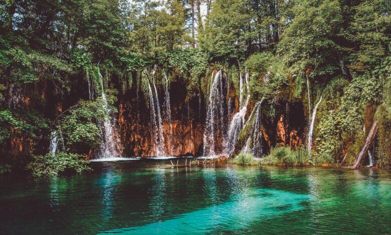 The Lush Greenery of Plitvice Lakes National Park, Croatia 🌿🏞️