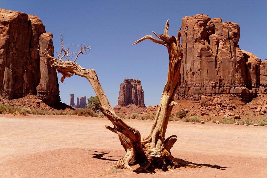 🤠 Wild West Adventure: Exploring the Deserts of Arizona 🌵