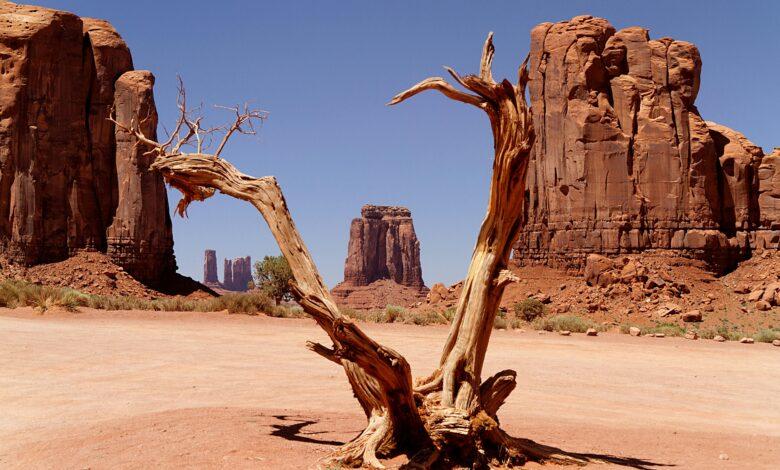 🤠 Wild West Adventure: Exploring the Deserts of Arizona 🌵